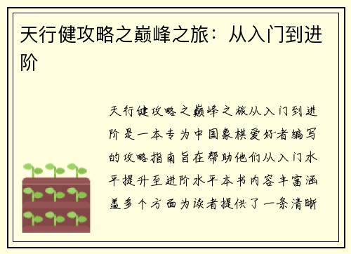 天行健攻略之巅峰之旅：从入门到进阶